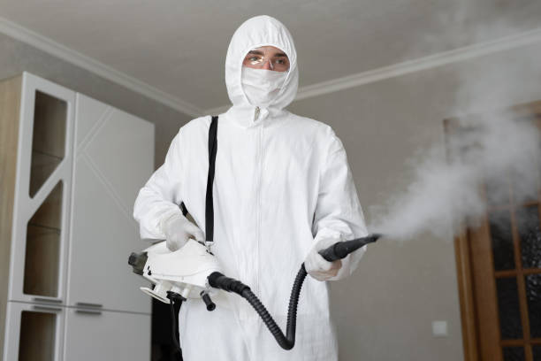 Best Black Mold Removal in Kula, HI